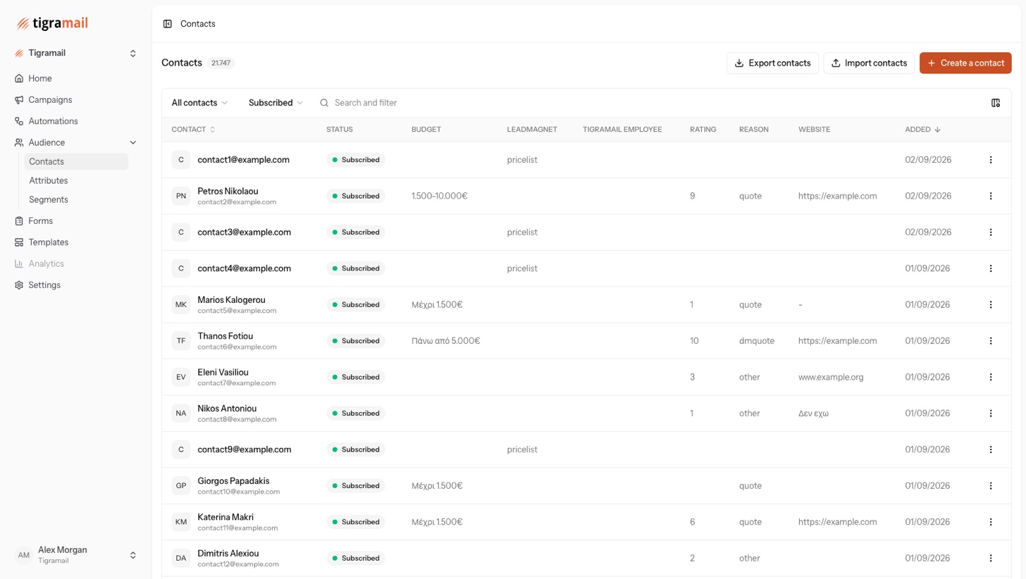 The Tigramail contacts table with status, custom attribute columns such as budget, lead magnet, rating and website, search and filter controls, and column configuration.